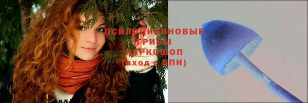 твердый Бронницы