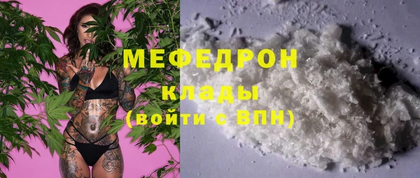 стаф Богданович