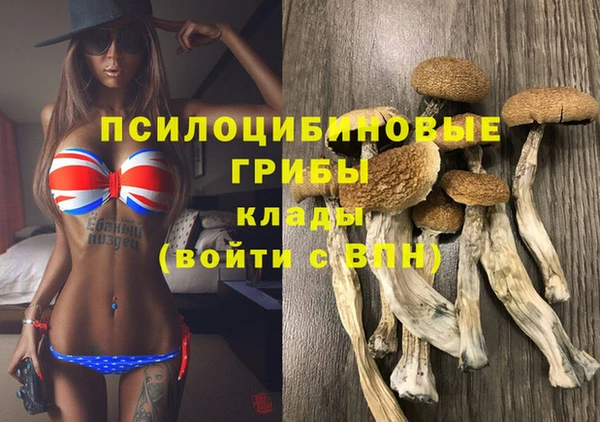 MDMA Premium VHQ Бугульма